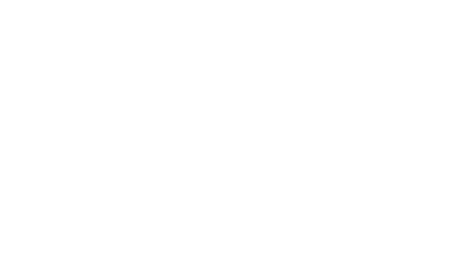 inDrive Logo